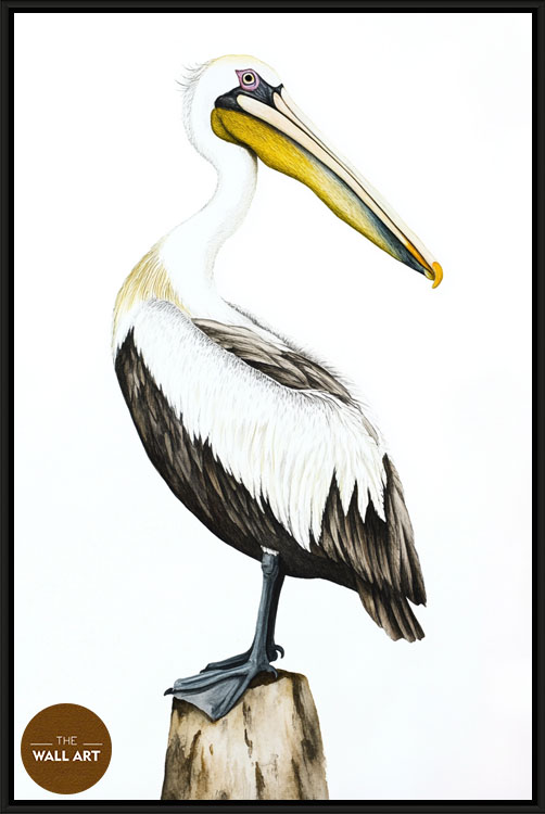images/products/yellow_beack_pelican/yellow_beack pelican_BLACK.jpg